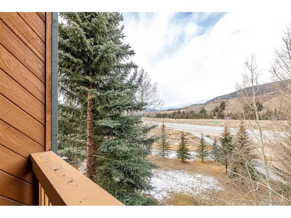 37 Tally Ho Court #110 Dillon, CO 80435