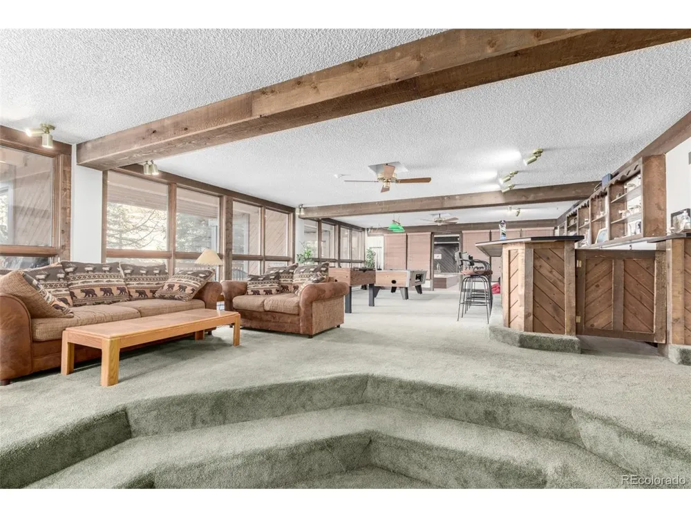 37 Tally Ho Court #110 Dillon, CO 80435