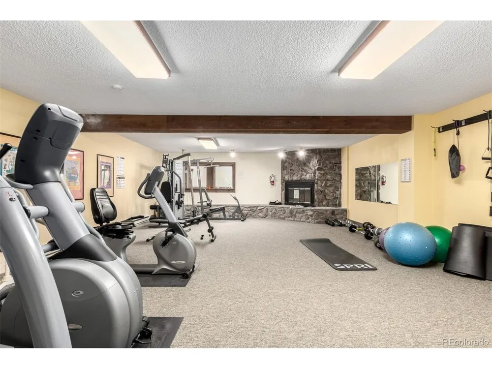 37 Tally Ho Court #110 Dillon, CO 80435