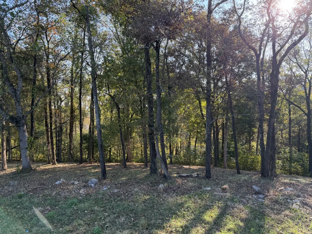 7025 Cairo Bend Rd Lebanon, TN 37087