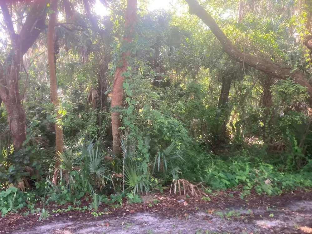 0 NANCY STREET Oak Hill, FL 32759