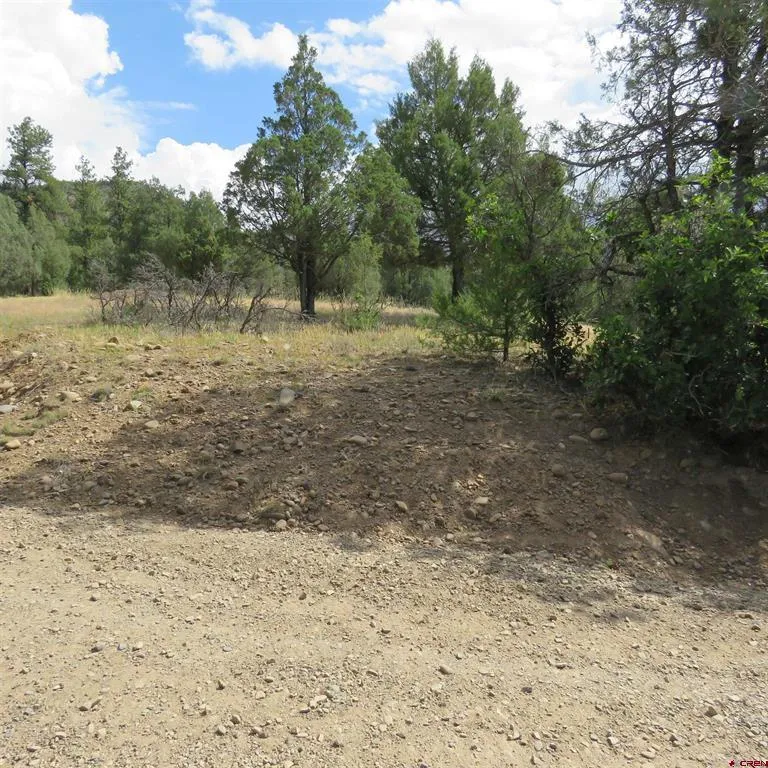 147 Calderwood Place Pagosa Springs, CO 81147
