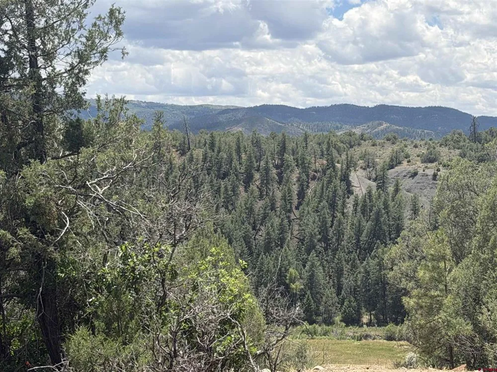 147 Calderwood Place Pagosa Springs, CO 81147