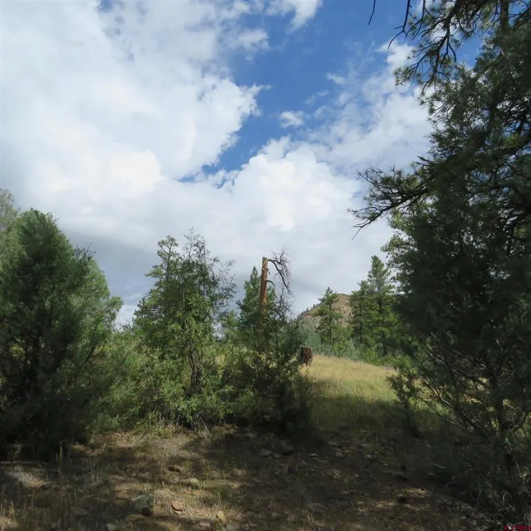 147 Calderwood Place Pagosa Springs, CO 81147