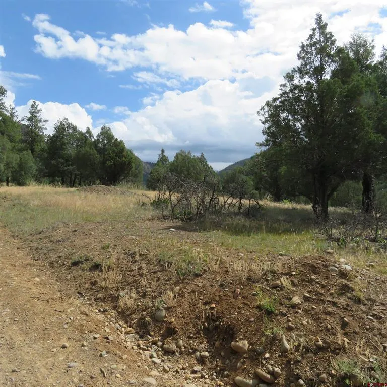 147 Calderwood Place Pagosa Springs, CO 81147