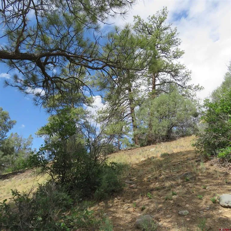 147 Calderwood Place Pagosa Springs, CO 81147