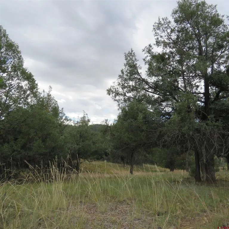 147 Calderwood Place Pagosa Springs, CO 81147
