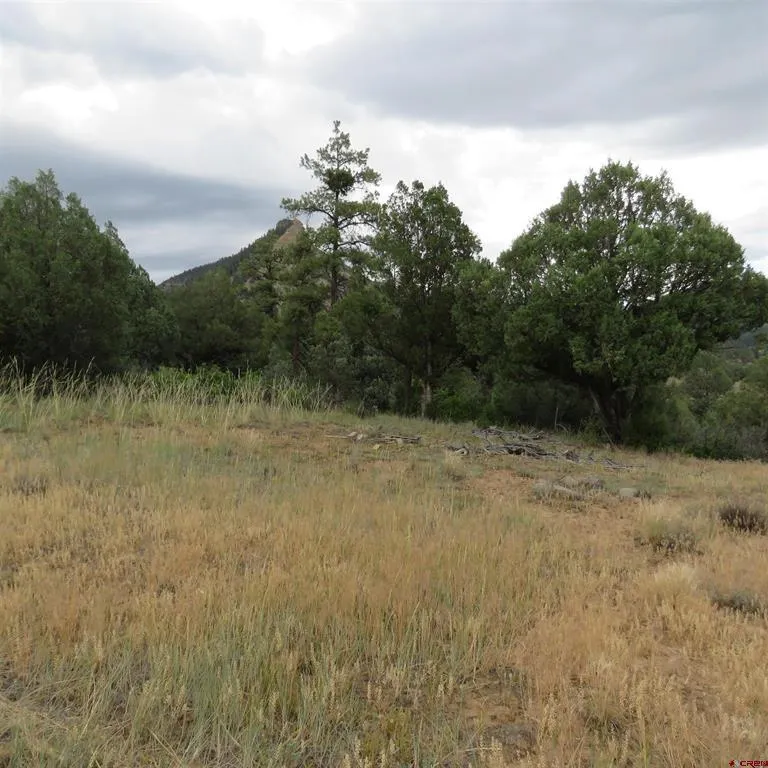 147 Calderwood Place Pagosa Springs, CO 81147