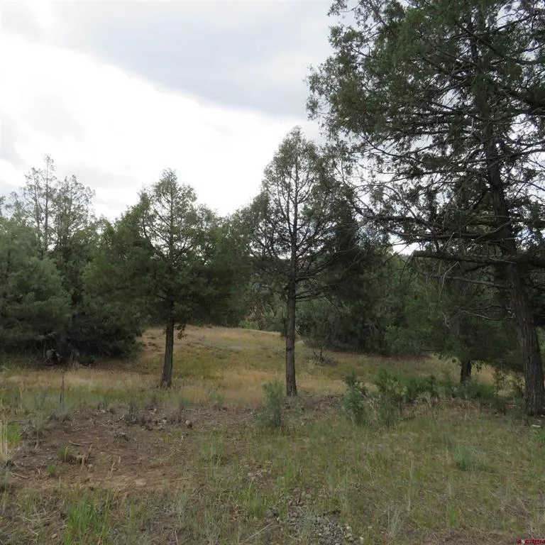 147 Calderwood Place Pagosa Springs, CO 81147