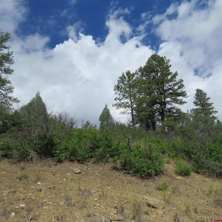 147 Calderwood Place Pagosa Springs, CO 81147