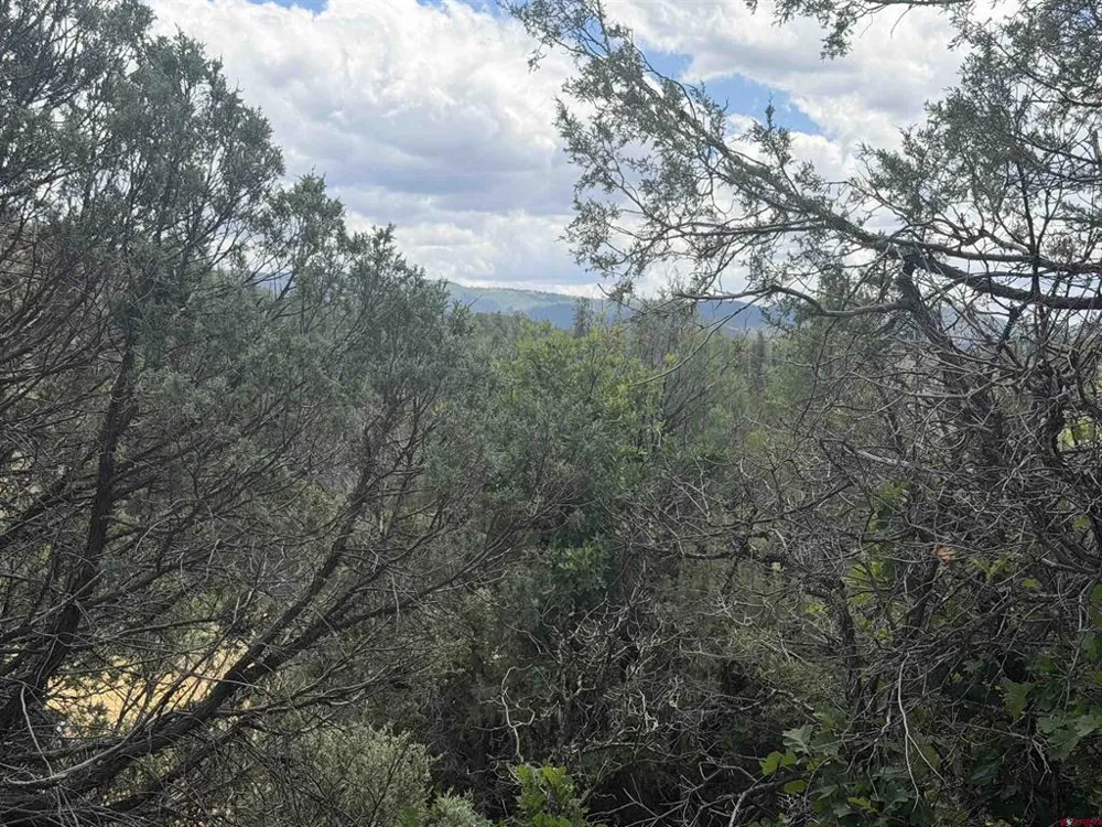 147 Calderwood Place Pagosa Springs, CO 81147