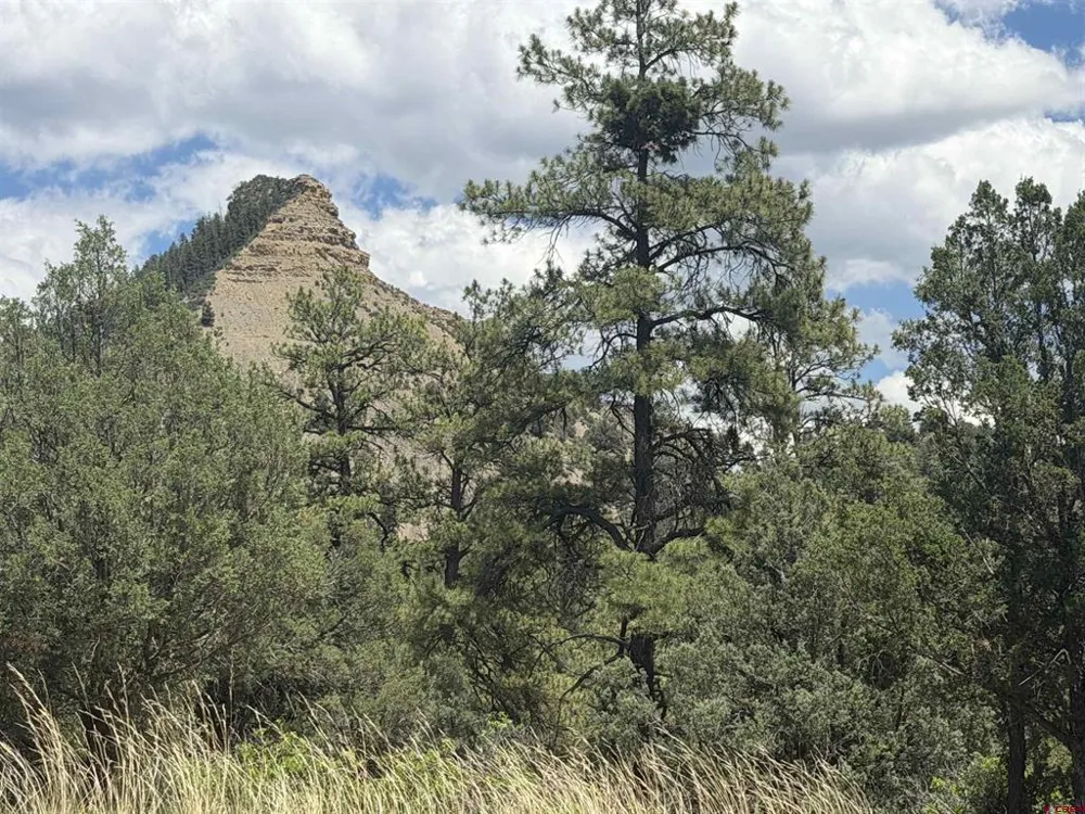 147 Calderwood Place Pagosa Springs, CO 81147