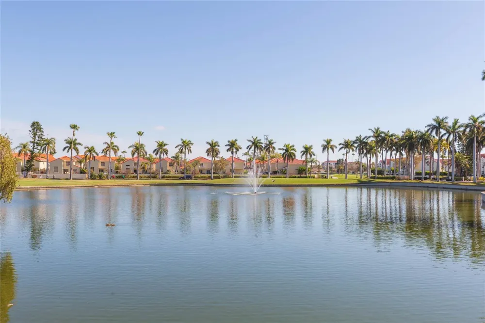 6080 BAHIA DEL MAR CIRCLE #113 St Petersburg, FL 33715