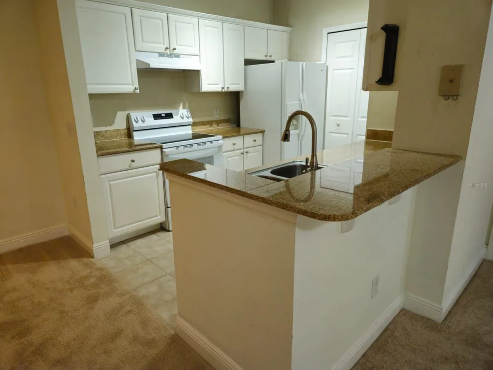 200 SOUTHERN PECAN CIRCLE #203 Winter Garden, FL 34787