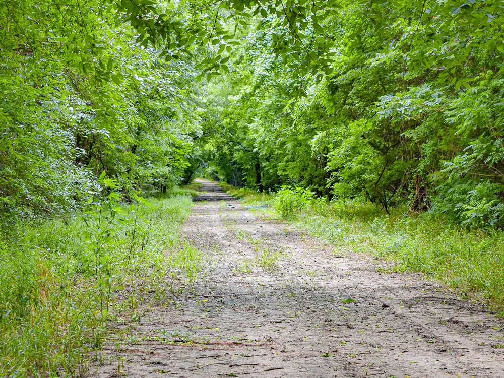 3280 Ws Rail Road Ben Franklin, TX 75415