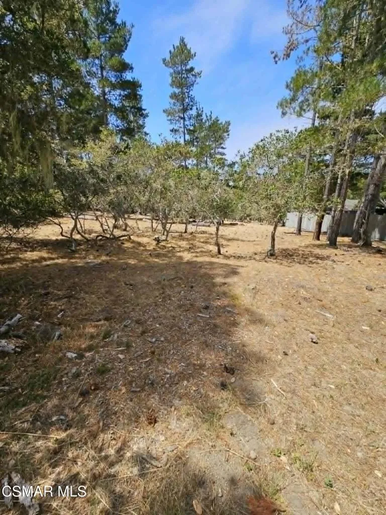 Tweed Avenue Cambria, CA 93428