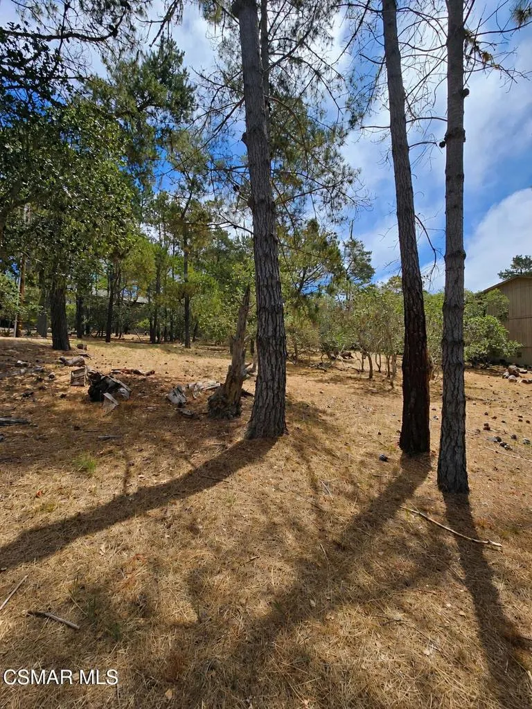 Tweed Avenue Cambria, CA 93428