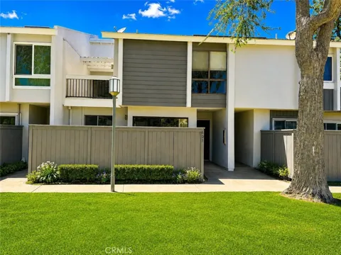 603 Shasta #163