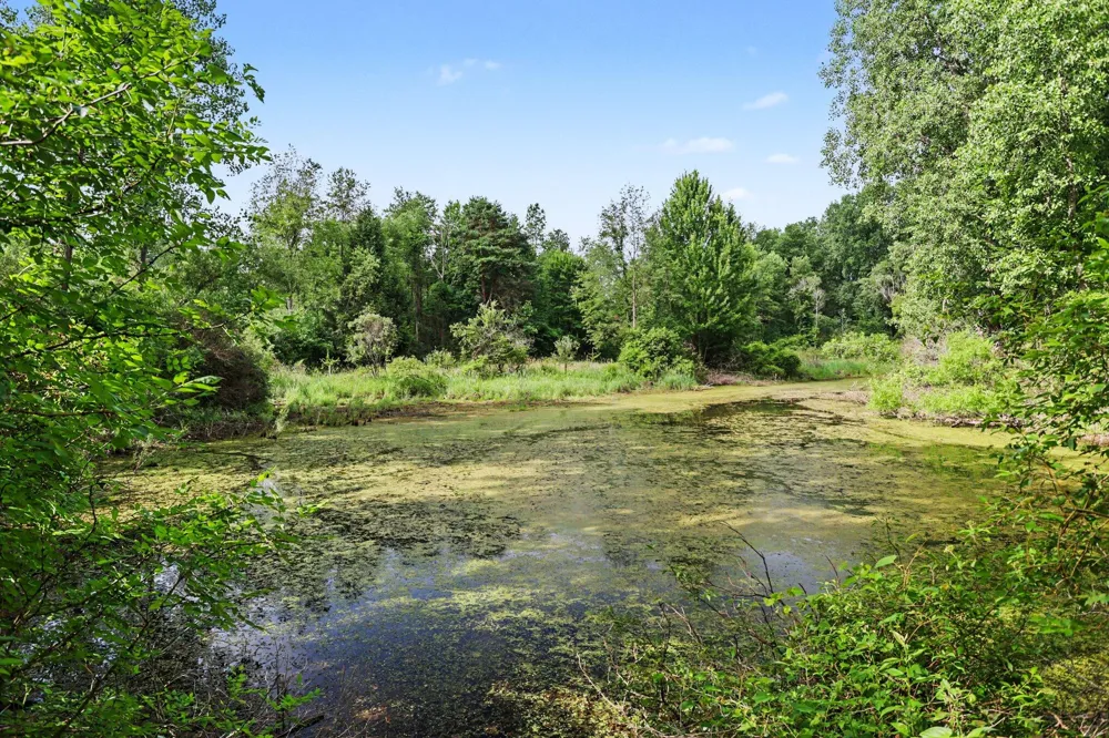 9411 Evart Road Maple Grove Township, MI 49073