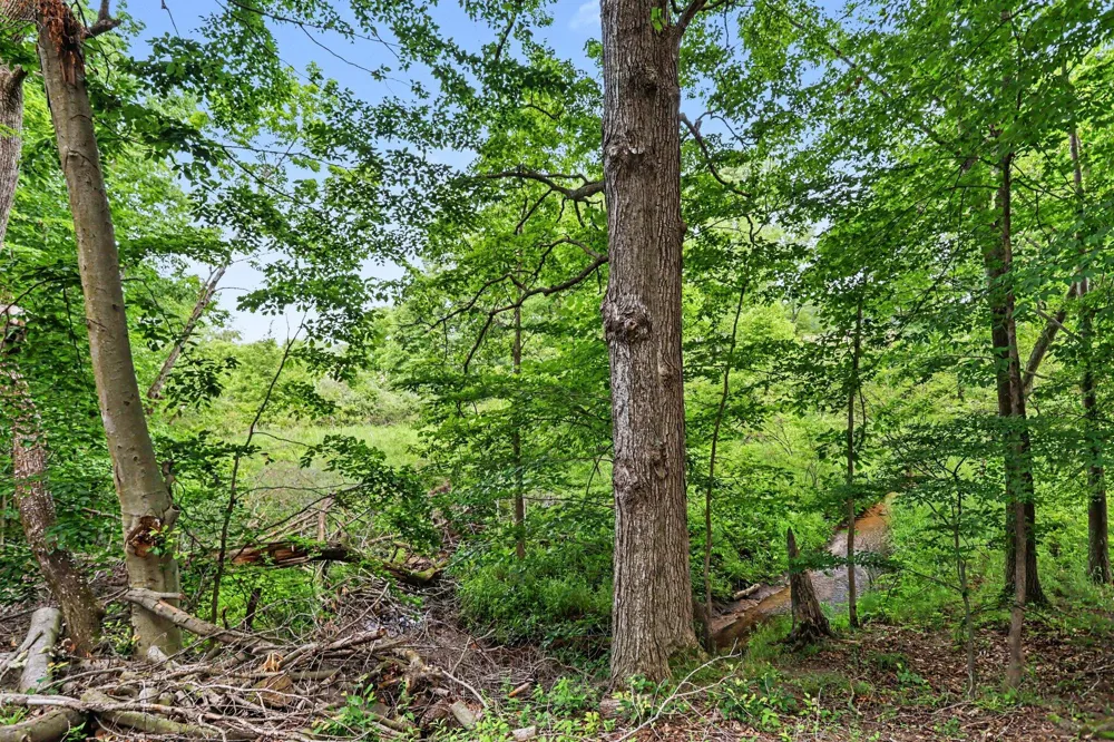 9411 Evart Road Maple Grove Township, MI 49073