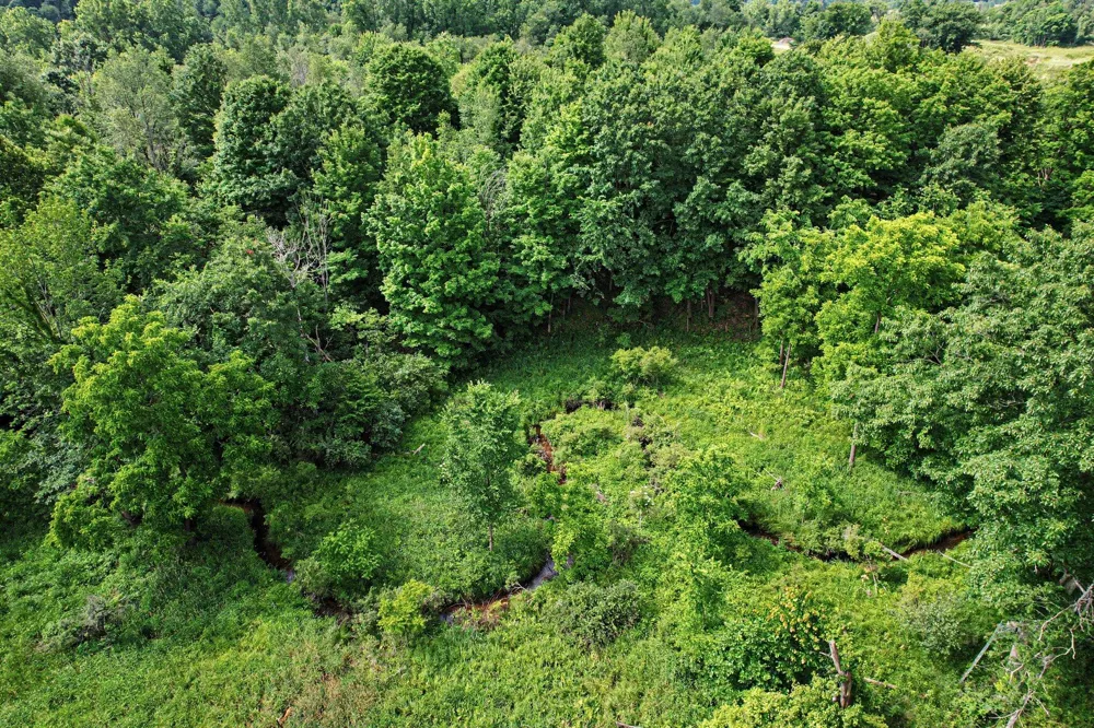 9411 Evart Road Maple Grove Township, MI 49073