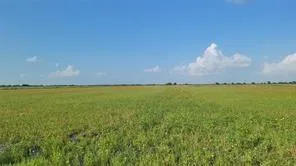 4 1293 Mc Donald Road Eagle Lake, TX 77434