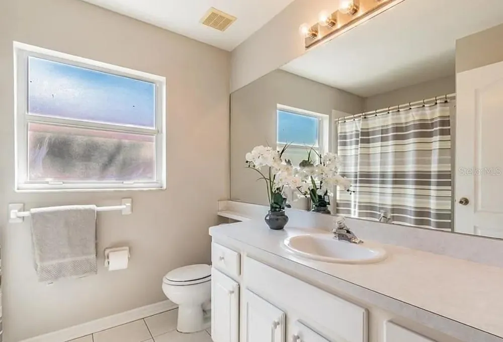 4205 MAST COURT Land O Lakes, FL 34639