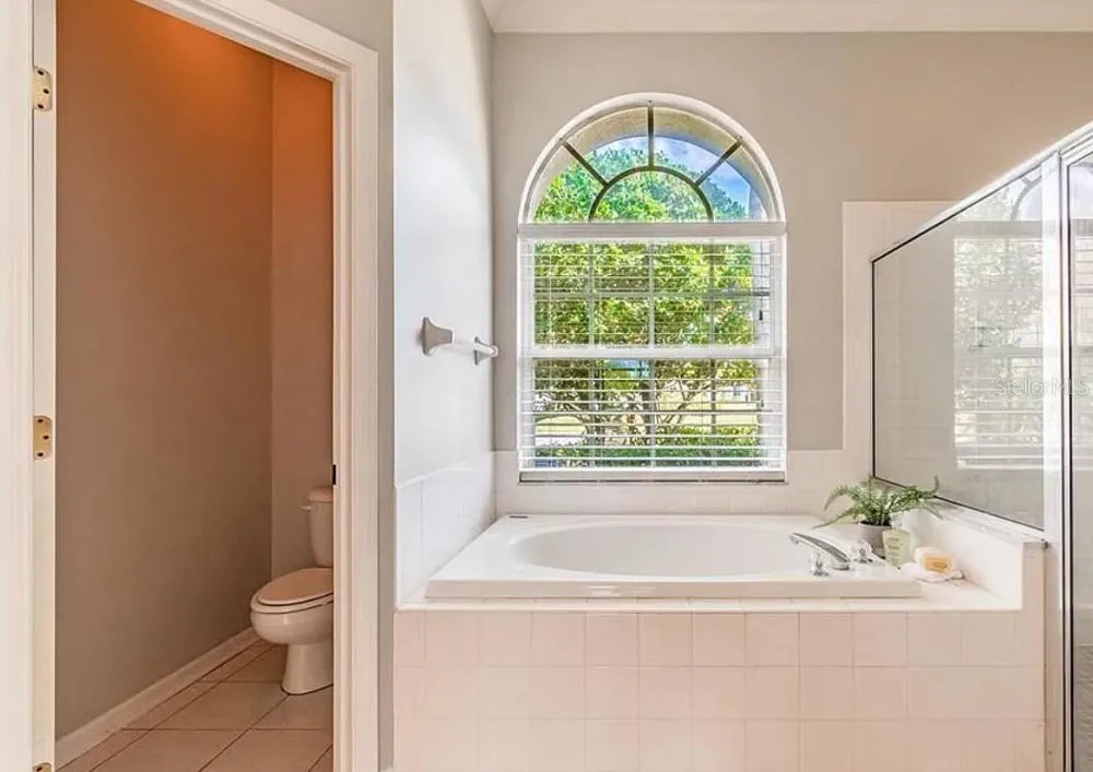 4205 MAST COURT Land O Lakes, FL 34639
