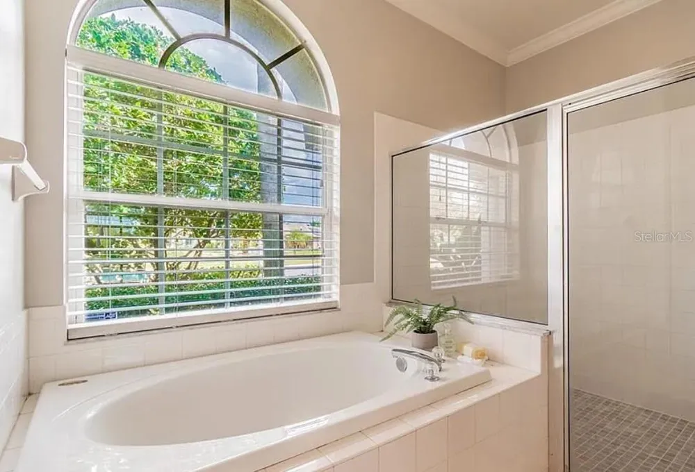 4205 MAST COURT Land O Lakes, FL 34639