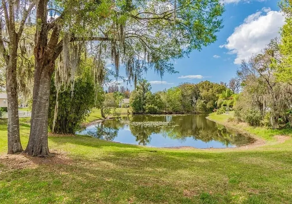 4205 MAST COURT Land O Lakes, FL 34639