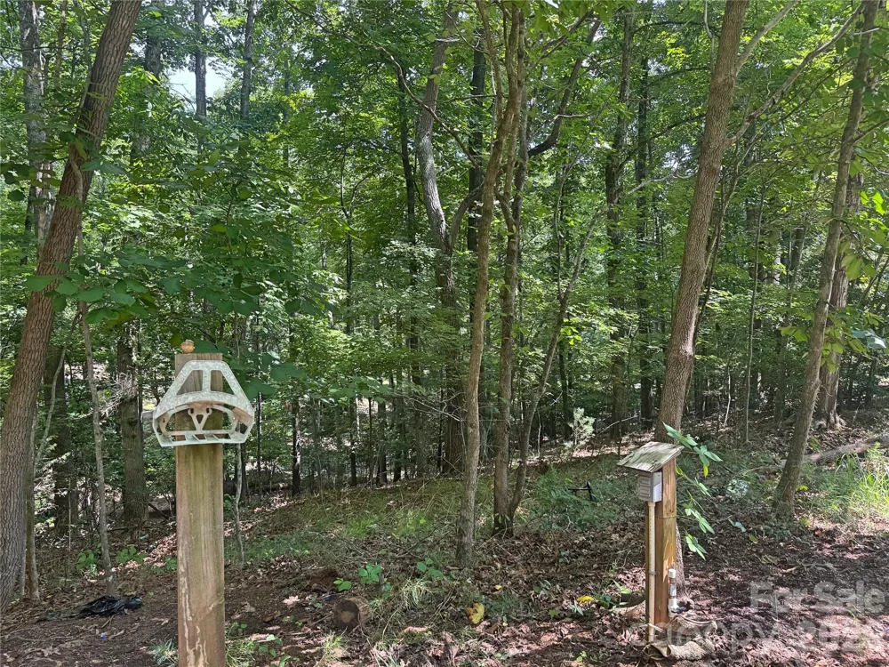 173 Croom Hollow Drive Nebo, NC 28761