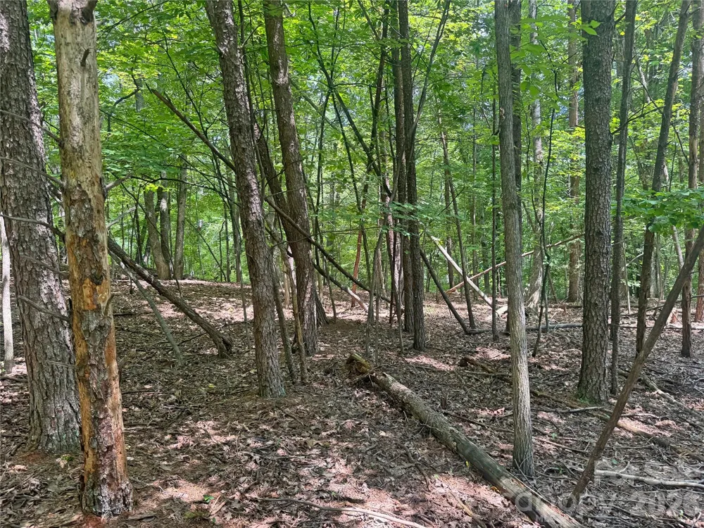 173 Croom Hollow Drive Nebo, NC 28761