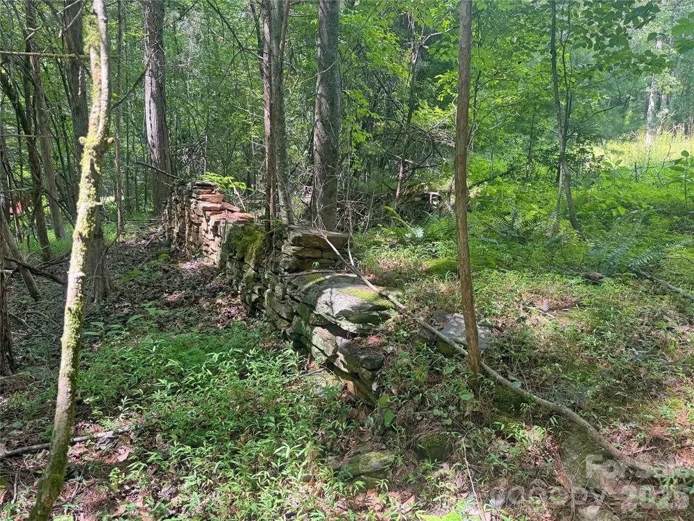 173 Croom Hollow Drive Nebo, NC 28761
