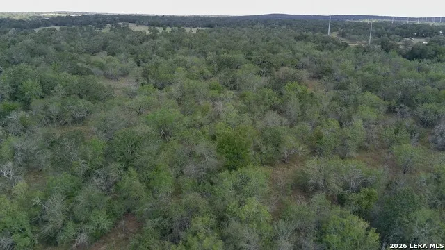 TBD Dowdy Seguin, TX 78155
