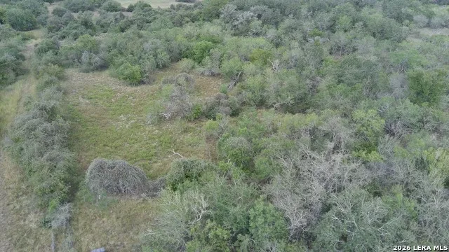 TBD Dowdy Seguin, TX 78155