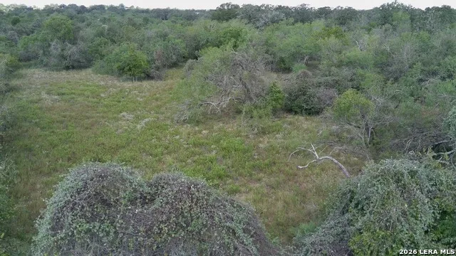 TBD Dowdy Seguin, TX 78155