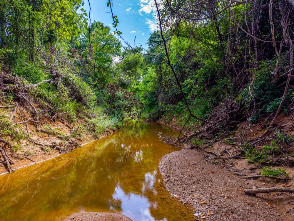 10413 County Road 136 Gordon, TX 76453