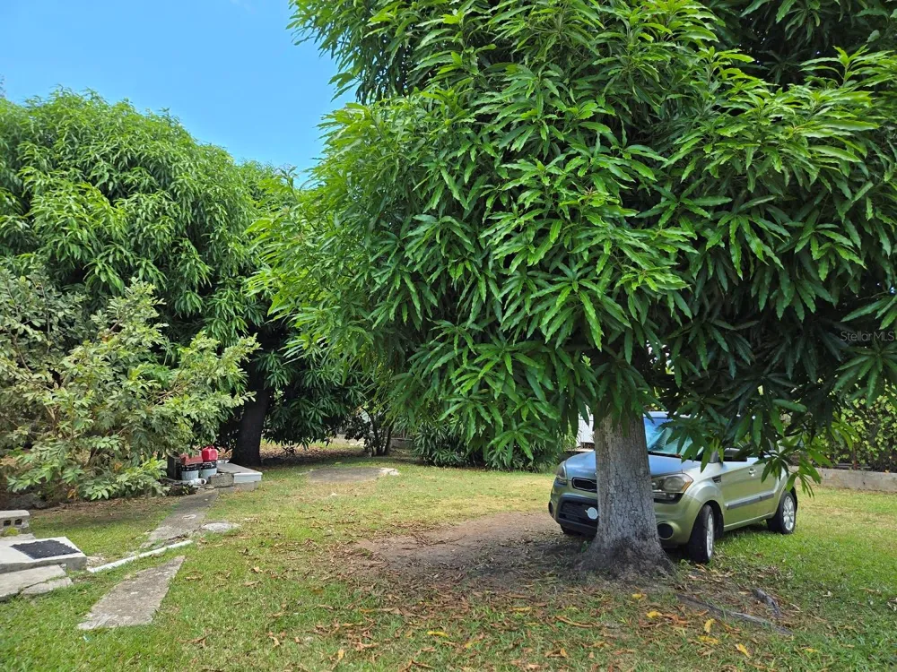 37 CALLE CORAL Vieques, PR 00765