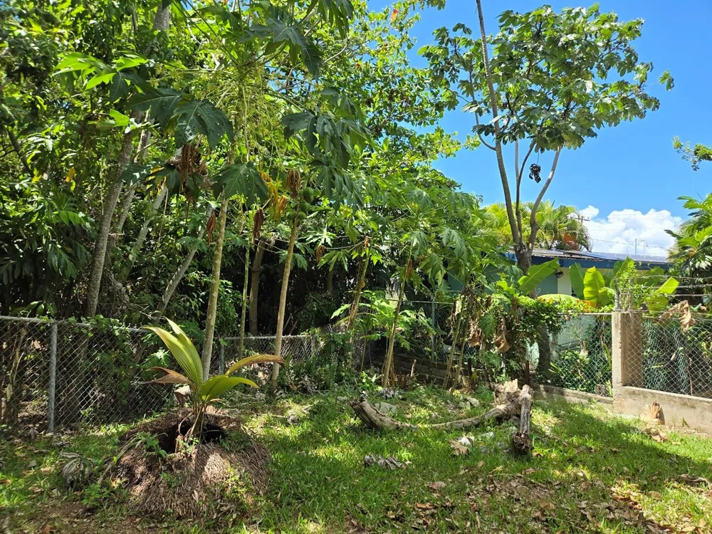 37 CALLE CORAL Vieques, PR 00765