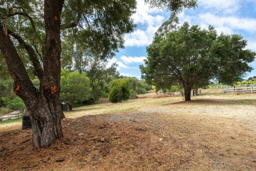 1100 Spring Hills Drive Watsonville, CA 95076
