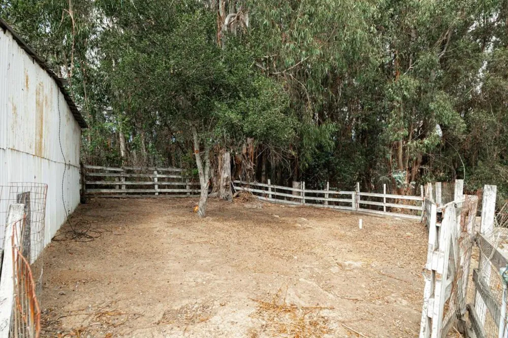 1100 Spring Hills Drive Watsonville, CA 95076