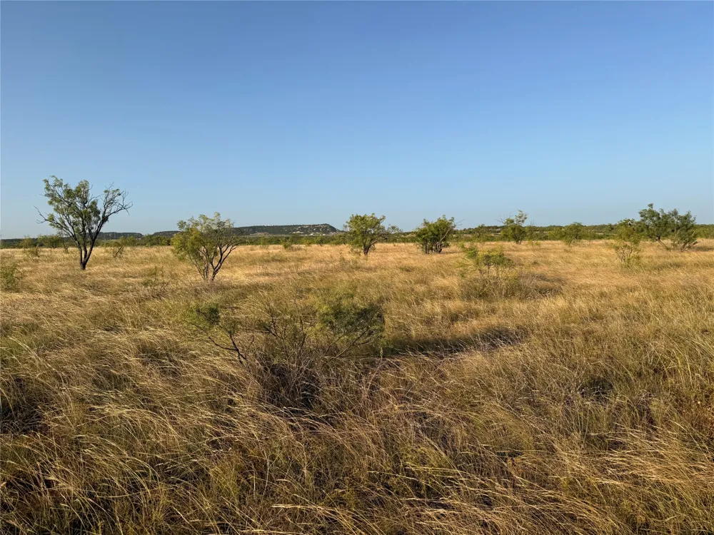 TR 6 FM 604 Ovalo, TX 79541