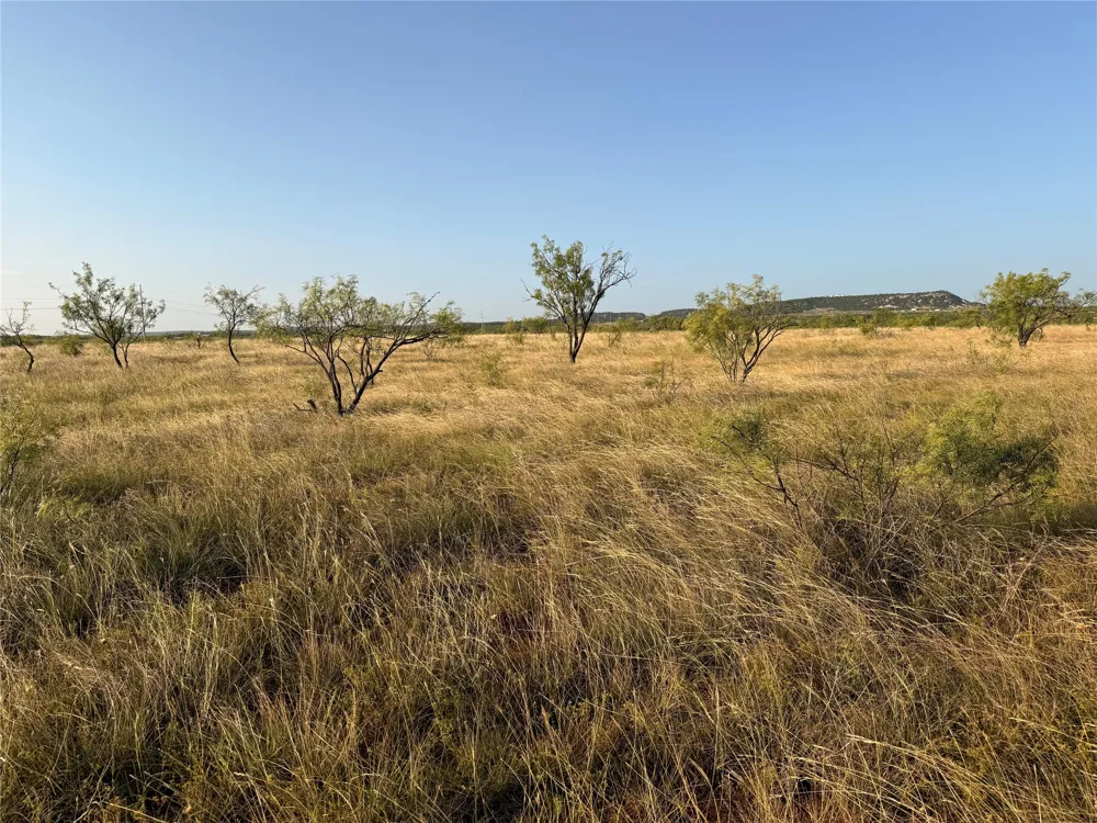 TR 6 FM 604 Ovalo, TX 79541