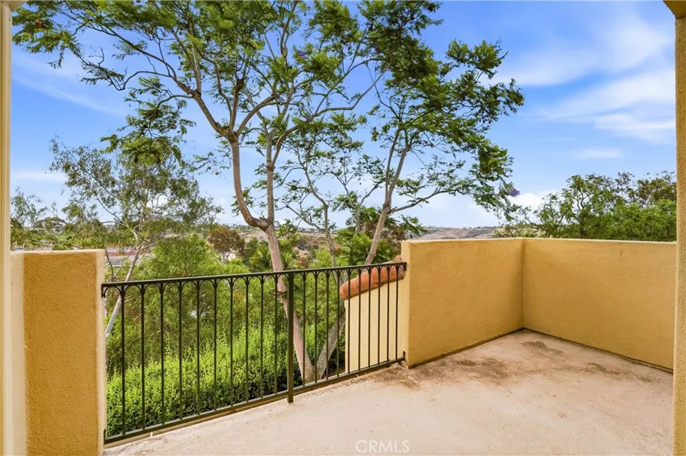 29 Fleurance Street Laguna Niguel, CA 92677