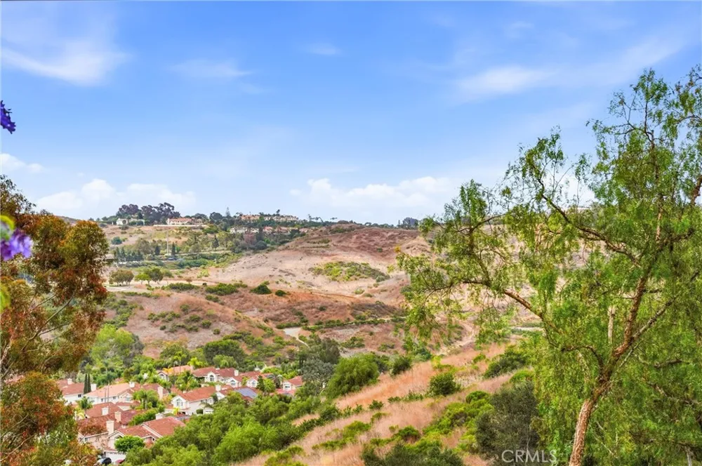 29 Fleurance Street Laguna Niguel, CA 92677