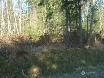 8406 112th Avenue Anderson Island, WA 98303