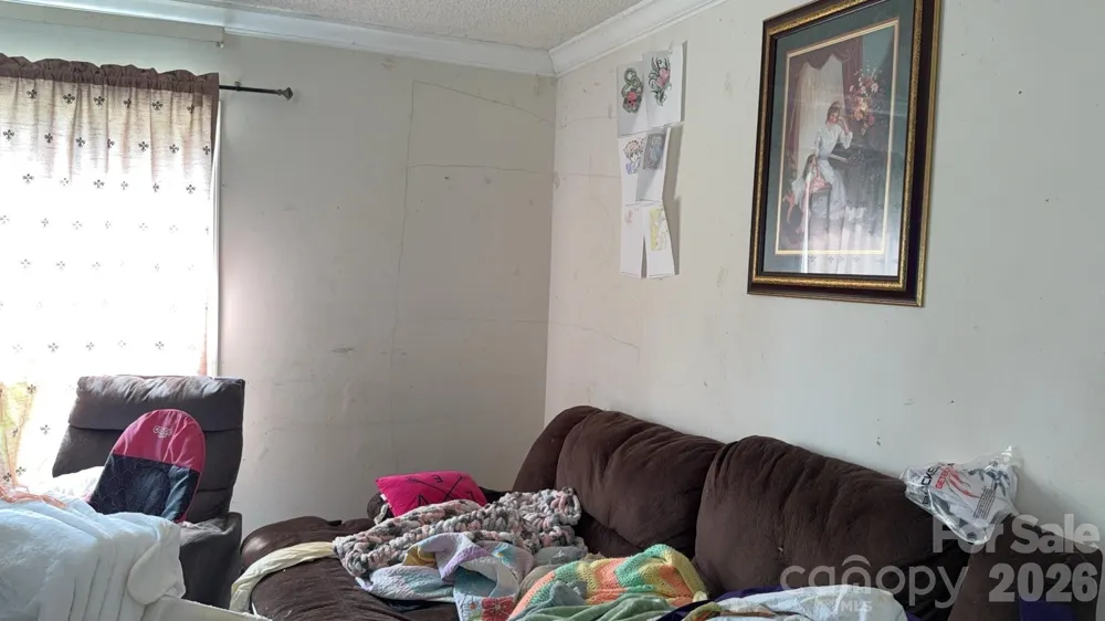 19 Honey Skipper Lane Candler, NC 28715