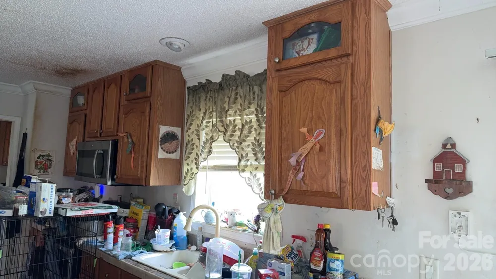 19 Honey Skipper Lane Candler, NC 28715