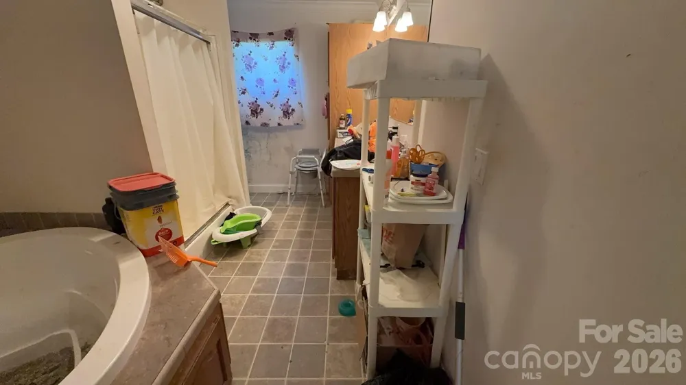 19 Honey Skipper Lane Candler, NC 28715