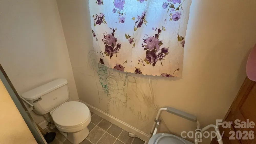 19 Honey Skipper Lane Candler, NC 28715